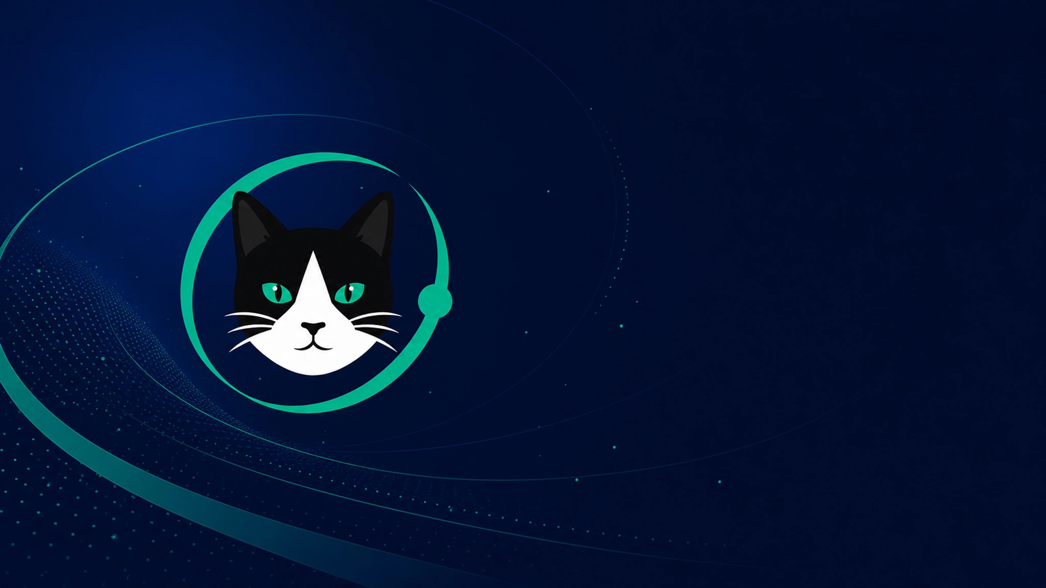 Hook Global market sayfasındaki mavi ve turkuaz kedi görseli